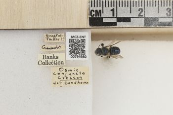 Media type: image;   Entomology 794980 Aspect: Labels